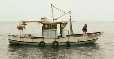 When Pigs Have Wings / Le cochon de Gaza (2011)