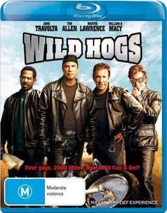 Wild Hogs (2007)