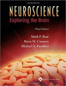 Neuroscience: Exploring the Brain, 3rd Edition (repost)