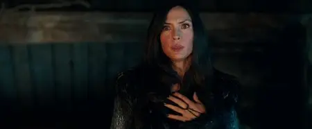 Hansel and Gretel: Witch Hunters (2013)