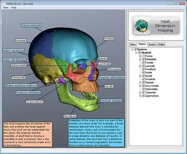 BoneLab 2.3.36