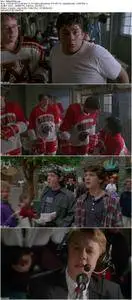 D3: The Mighty Ducks (1996)