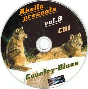 VA - Akella Presents vol.9 (2013)