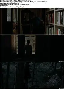 The Robber (2010) [Reuploaded]