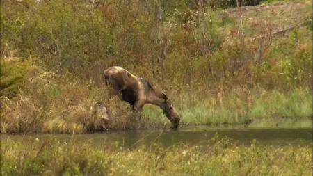 Smithsonian Earth - Great Lakes Wild: Series 1 (2017)