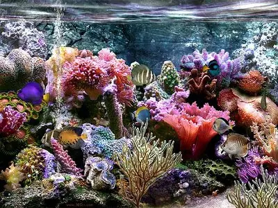 SimAquarium 2.7 Screensaver Portable