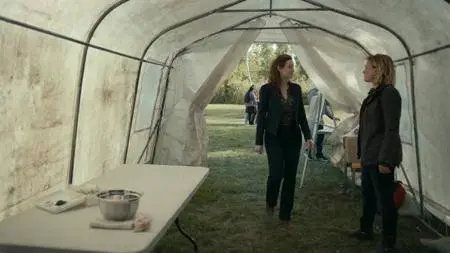 Bellevue S01E02