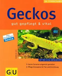 Geckos gut gepflegt & vital von Harald Jes