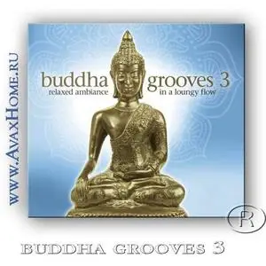 Buddha Grooves 3