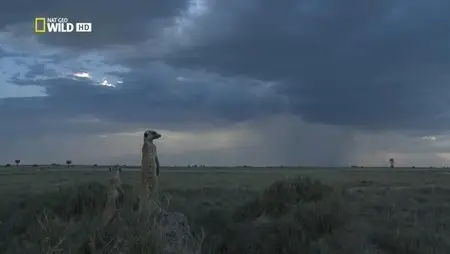 National Geographic - Wild Kalahari (2014)