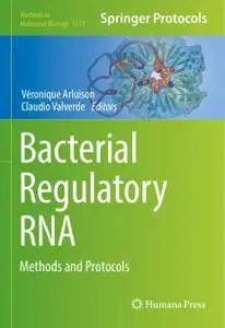 Bacterial Regulatory RNA: Methods and Protocols