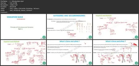 Biology Principles Of Inheritance And Variation Class 12