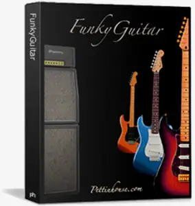 Pettinhouse - Funky Guitar (Kontakt) [repost]