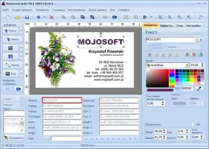 BusinessCards MX 3.95