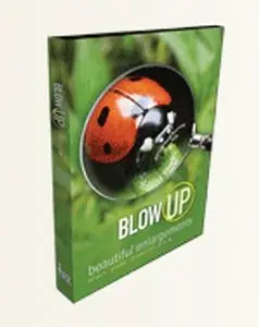 Alien Skin BlowUp 2.0.2 For Adobe Photoshop