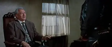 The Last of the Fast Guns (1958)