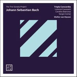 Walter van Hauwe & Tripla Concordia - Bach: The Trio Sonata Project (2019) [Official Digital Download]