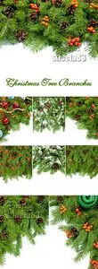 Stock Photo - Christmas Tree Branches 2
