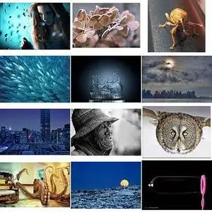Impressive Pictures Pack10