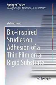 Bio-inspired Studies on Adhesion of a Thin Film on a Rigid Substrate