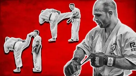 Zen Do Kai Japanese Karate Basics: Punches, Kicks And Blocks
