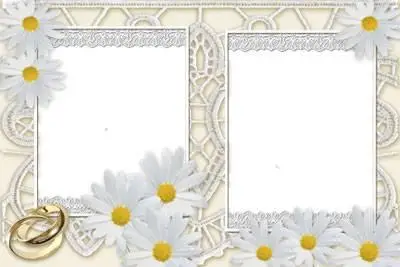 Daisywheels Frame for Photoshop