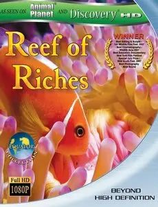 Discovery Channel - Equator: Reef of Riches (2005)