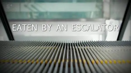 Ch5. - Eaten By an Escalator: When Machines Bite Back (2019)