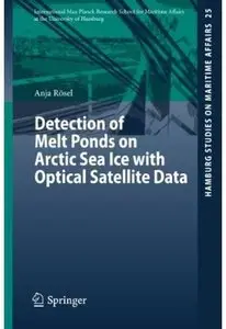 Detection of Melt Ponds on Arctic Sea Ice with Optical Satellite Data