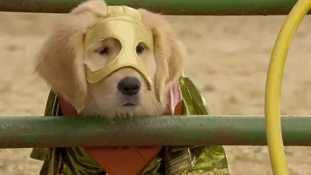 Super Buddies (2013)