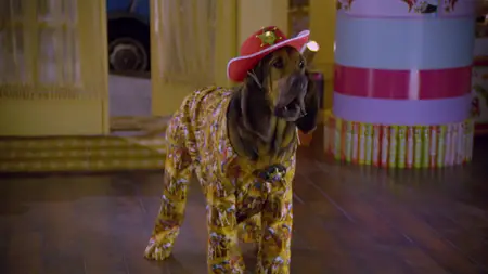 Super Buddies (2013)