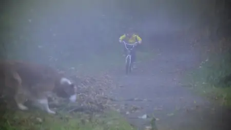 Super Buddies (2013)