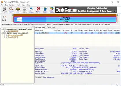 DiskGenius Professional 6.0.1.1645 (x64) Multilingual WinPE