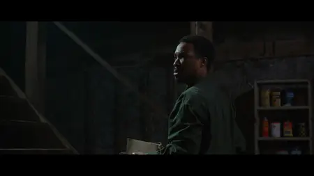 The Man in My Basement (2025)