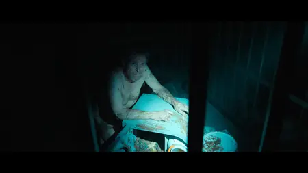 The Man in My Basement (2025)