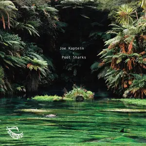 Joe Kaptein & Pool Sharks - Pool Sharks (2025) [Official Digital Download 24/48]