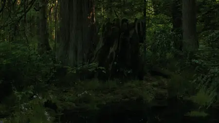 The Last of Us S02E06