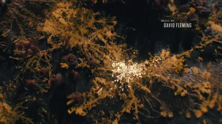 The Last of Us S02E06