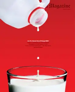 The New York Times Magazine – 20 October 2024