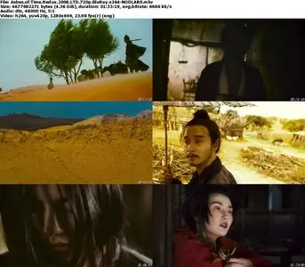 Ashes of Time Redux (2008)