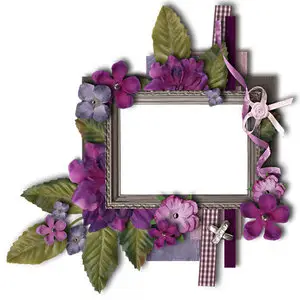 Vintage frames, clusters & elements