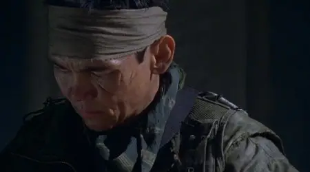 The Last Sentinel (2007)