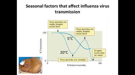 Coursera - Virology II: How Viruses Cause Disease