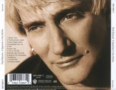 Rod Stewart - A Spanner In The Works (1995)