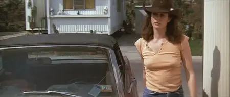 Urban Cowboy (1980)
