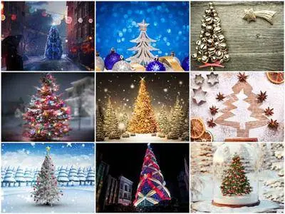 50 New Year Trees HD Wallpapers