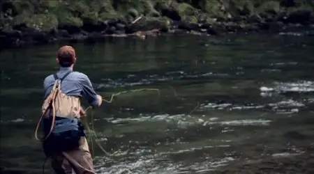 Wide Open - The Fish & The Fly 3 - Terrestrial (2010)