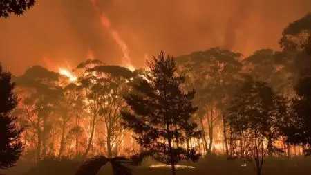 BBC Panorama - Australia Burning (2020)