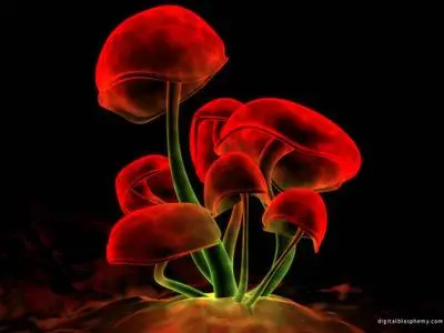 32 New Digital Blasphemy Collection Vol. 5