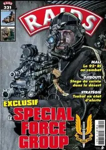 Raids 2013-12